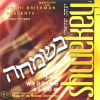 Besimcha - The Wedding Album