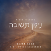 Nigun Teshuva Feat. Moshe Auslander