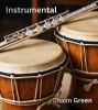 Instrumental